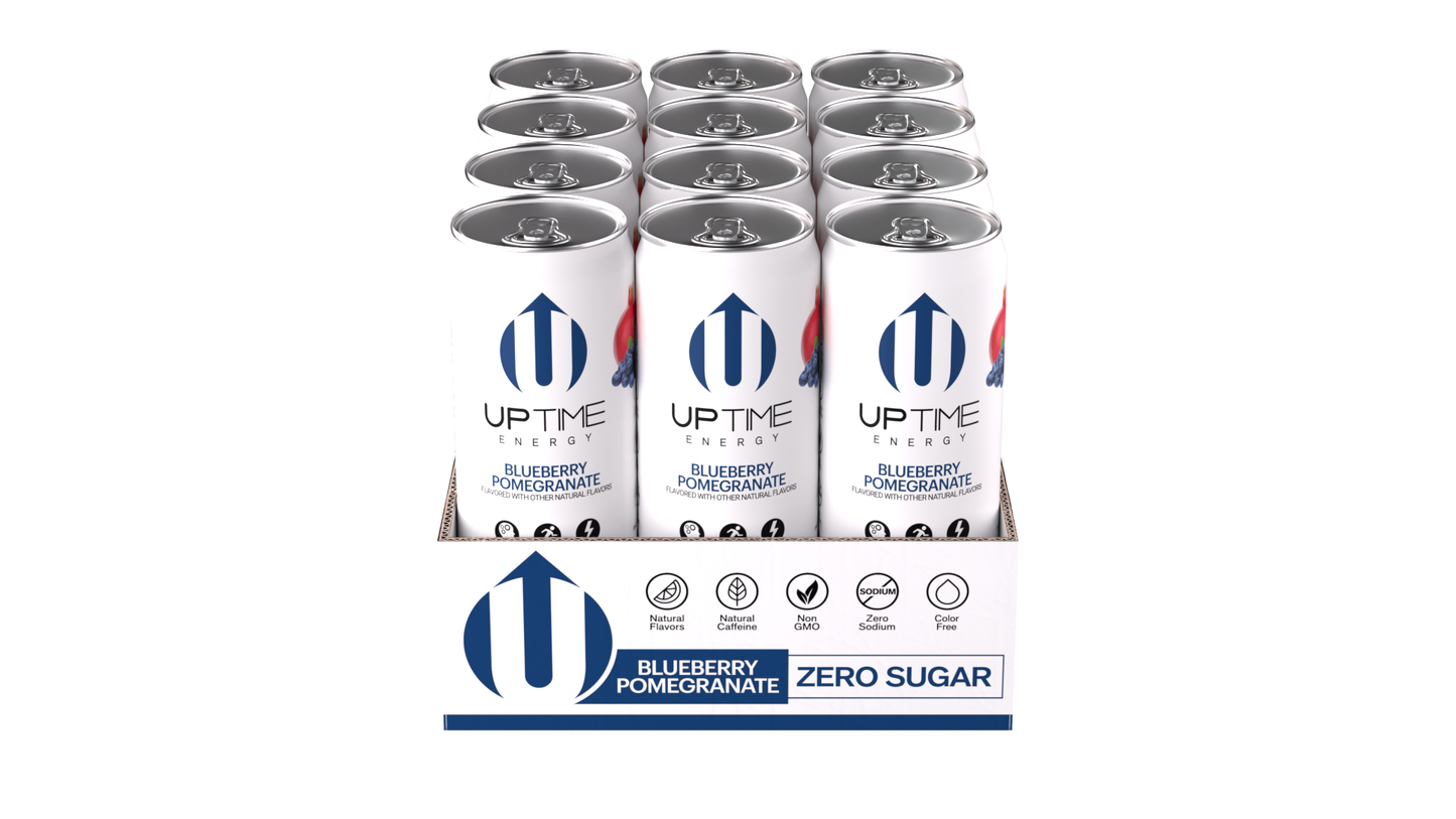 Blueberry Pomegranate Zero Sugar 12 Pack